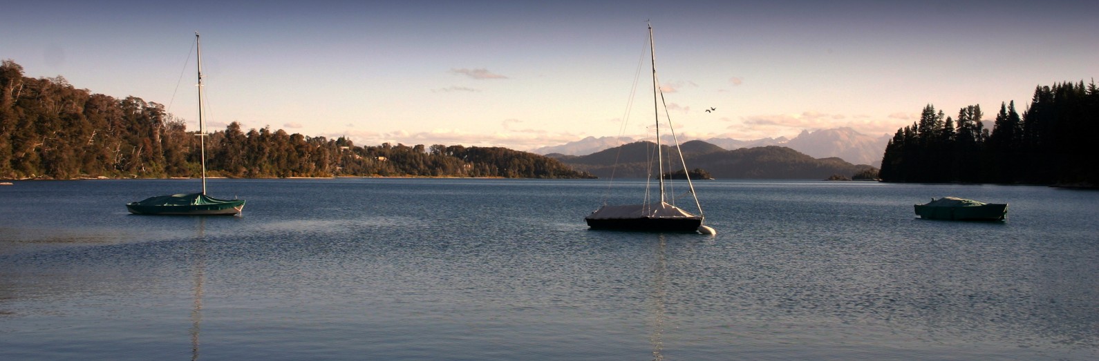 tarde-para-la-envidia-de-clarin-007-e1412726219627